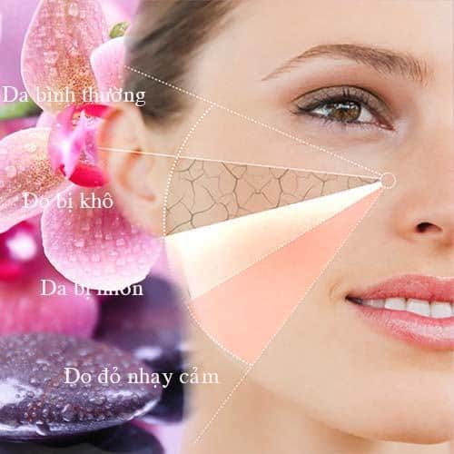 Cách xác định loại da mặt